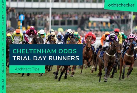 cheltenham odds checker